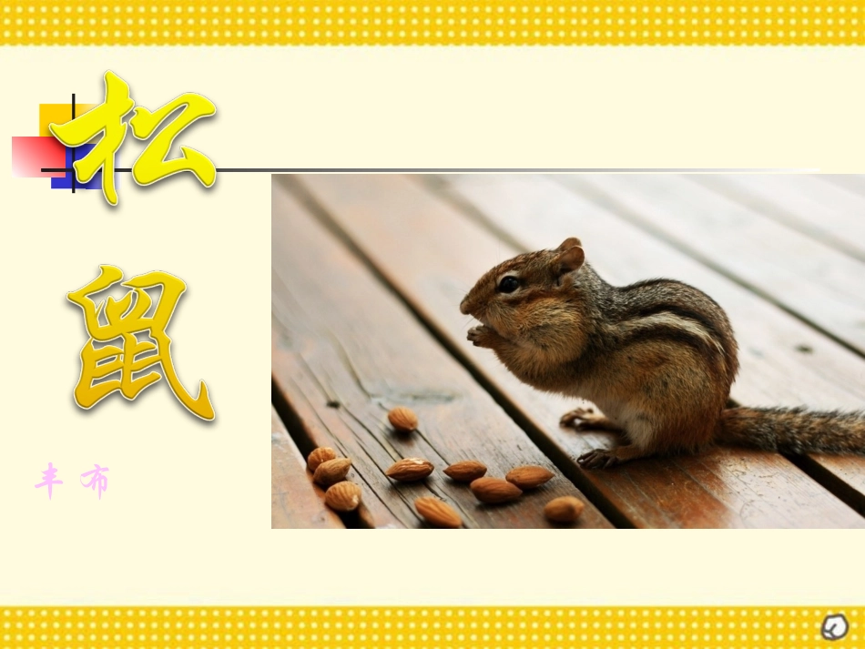 《松鼠》PPT课件(1).ppt_第1页