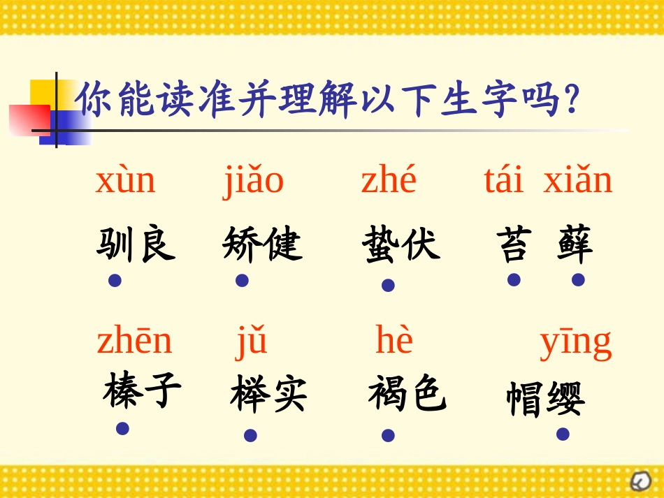 《松鼠》PPT课件(1).ppt_第2页
