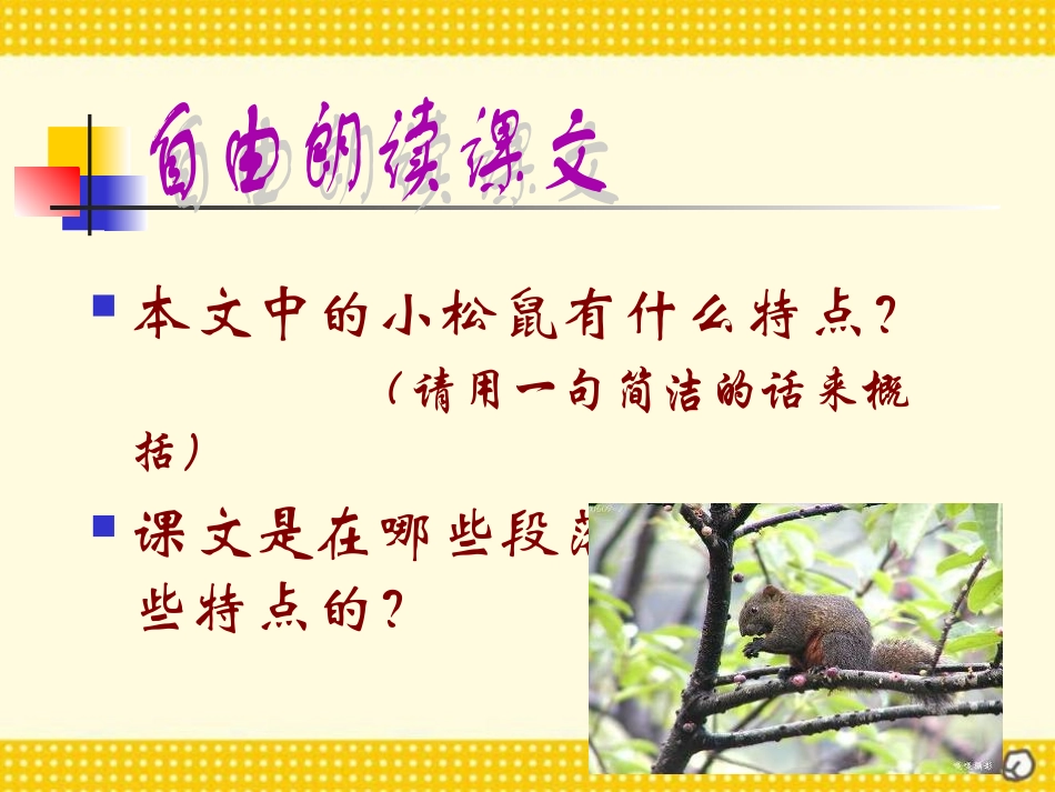 《松鼠》PPT课件(1).ppt_第3页