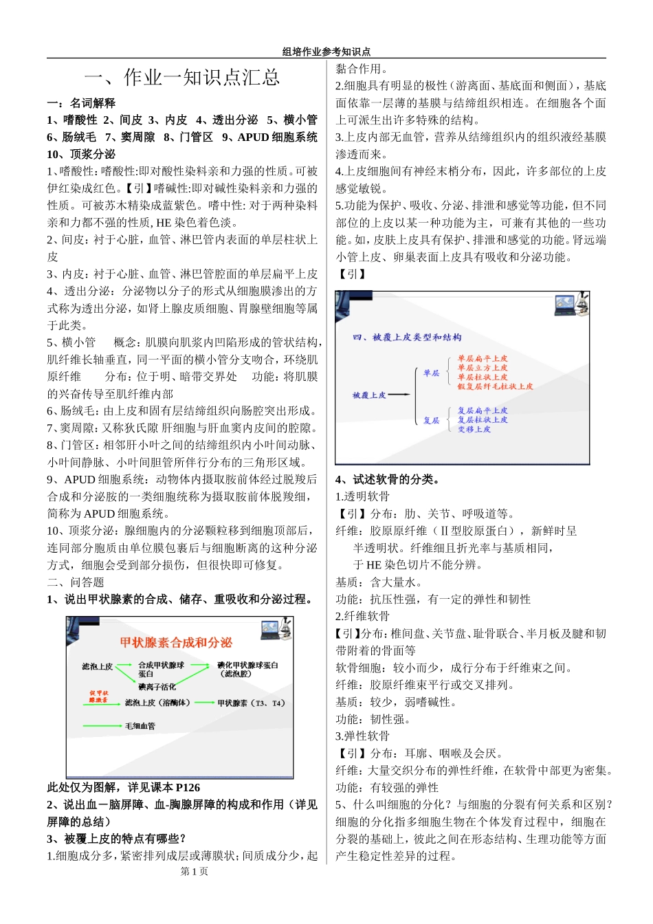 【组织学与胚胎学】组织胚胎学 学习笔记+考试重点总结 (1).doc_第1页