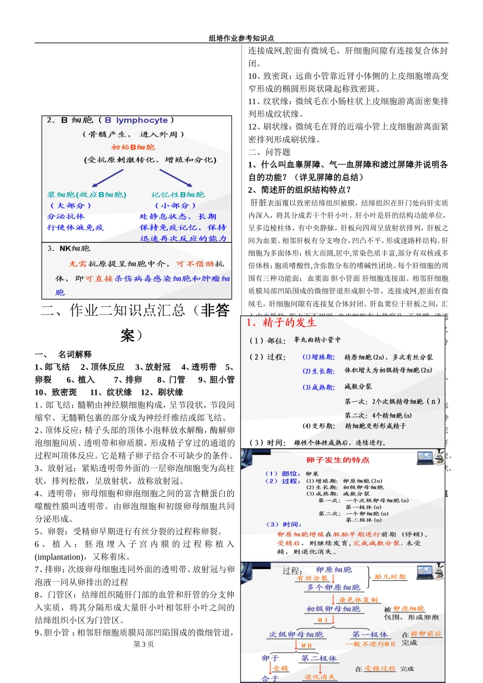 【组织学与胚胎学】组织胚胎学 学习笔记+考试重点总结 (1).doc_第3页