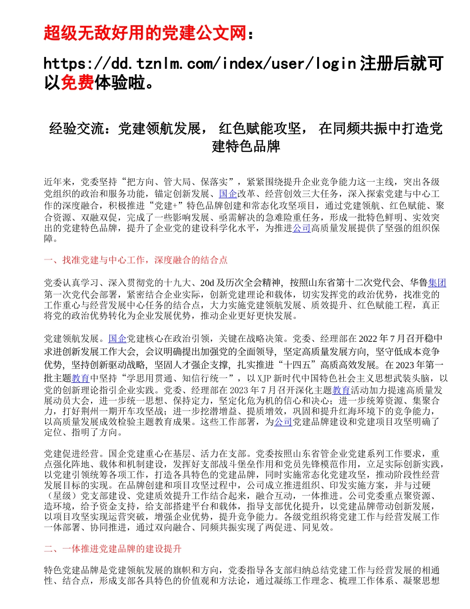 经验交流：党建领航发展， 红色赋能攻坚， 在同频共振中打造党建特色品牌.doc_第1页