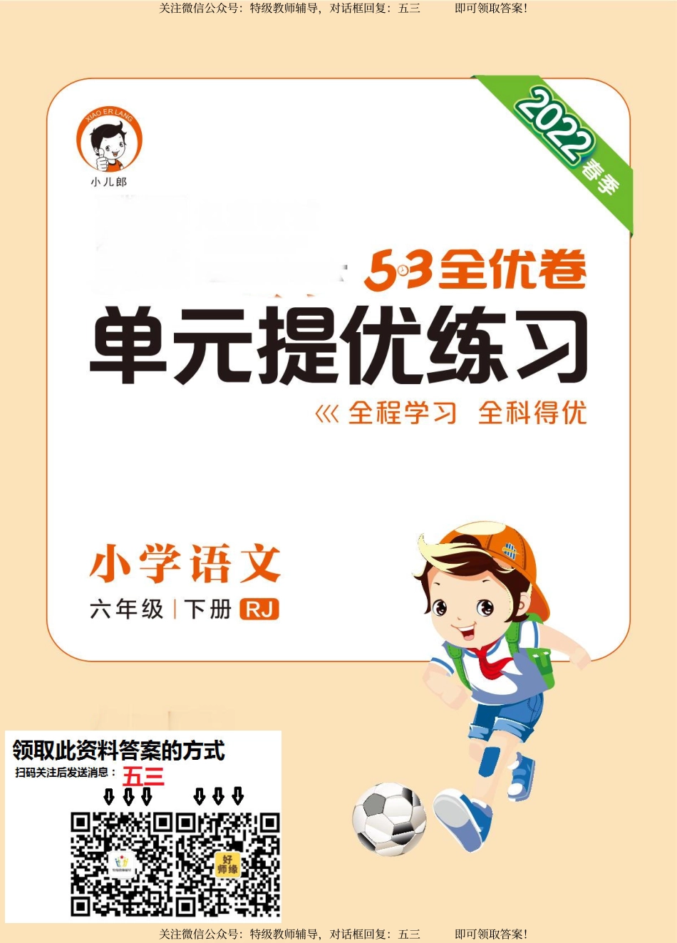 六语下53全优卷.pdf_第1页