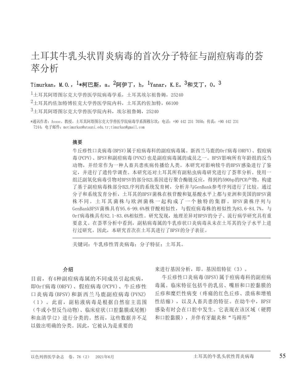 土耳其牛乳头状胃炎病毒的首次分子特征与副痘病毒的荟萃分析.pdf_第1页