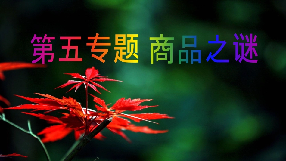 第五专题 商品之谜.pdf_第2页