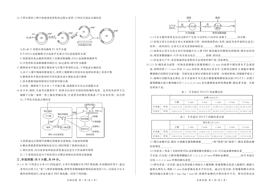 生物.pdf_第3页