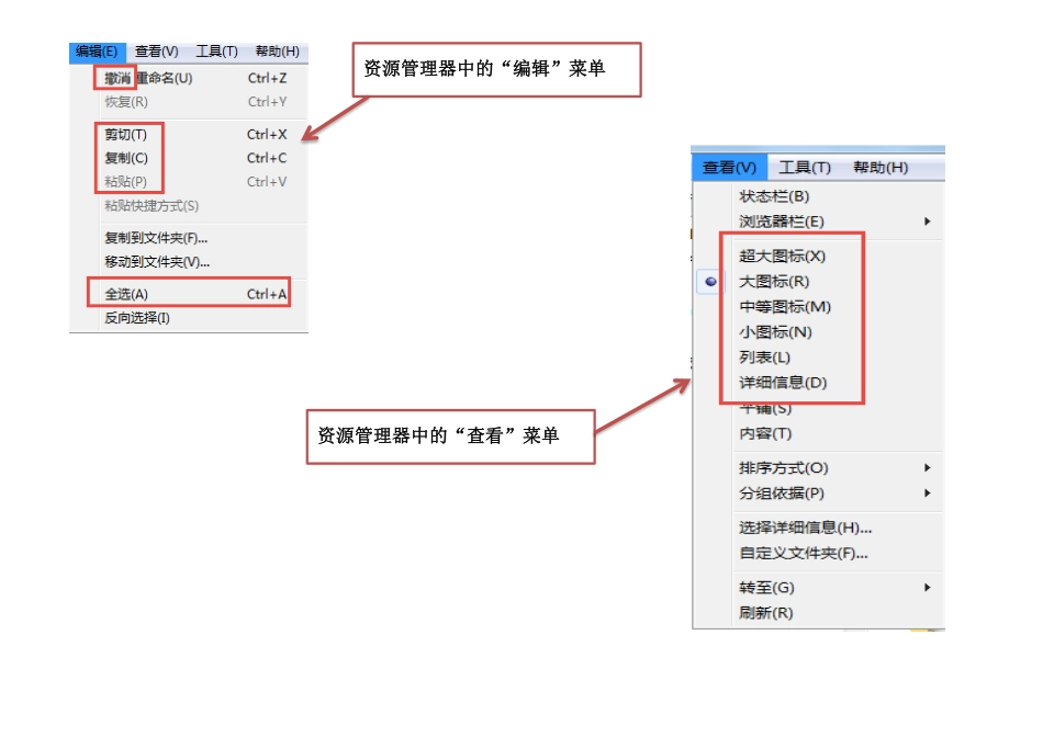【核心必会】菜单及常用选项卡.pdf_第2页