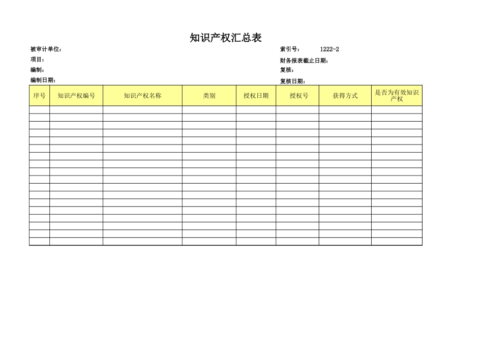 2.6、知识产权汇总表.xls_第1页