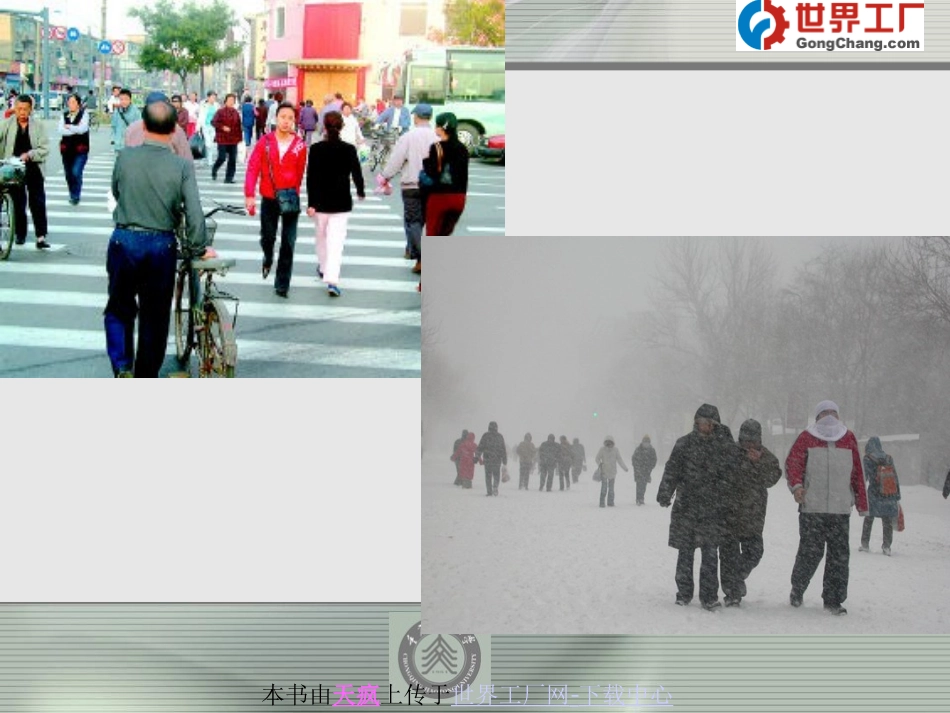 第九章   行人交通调查.ppt_第3页