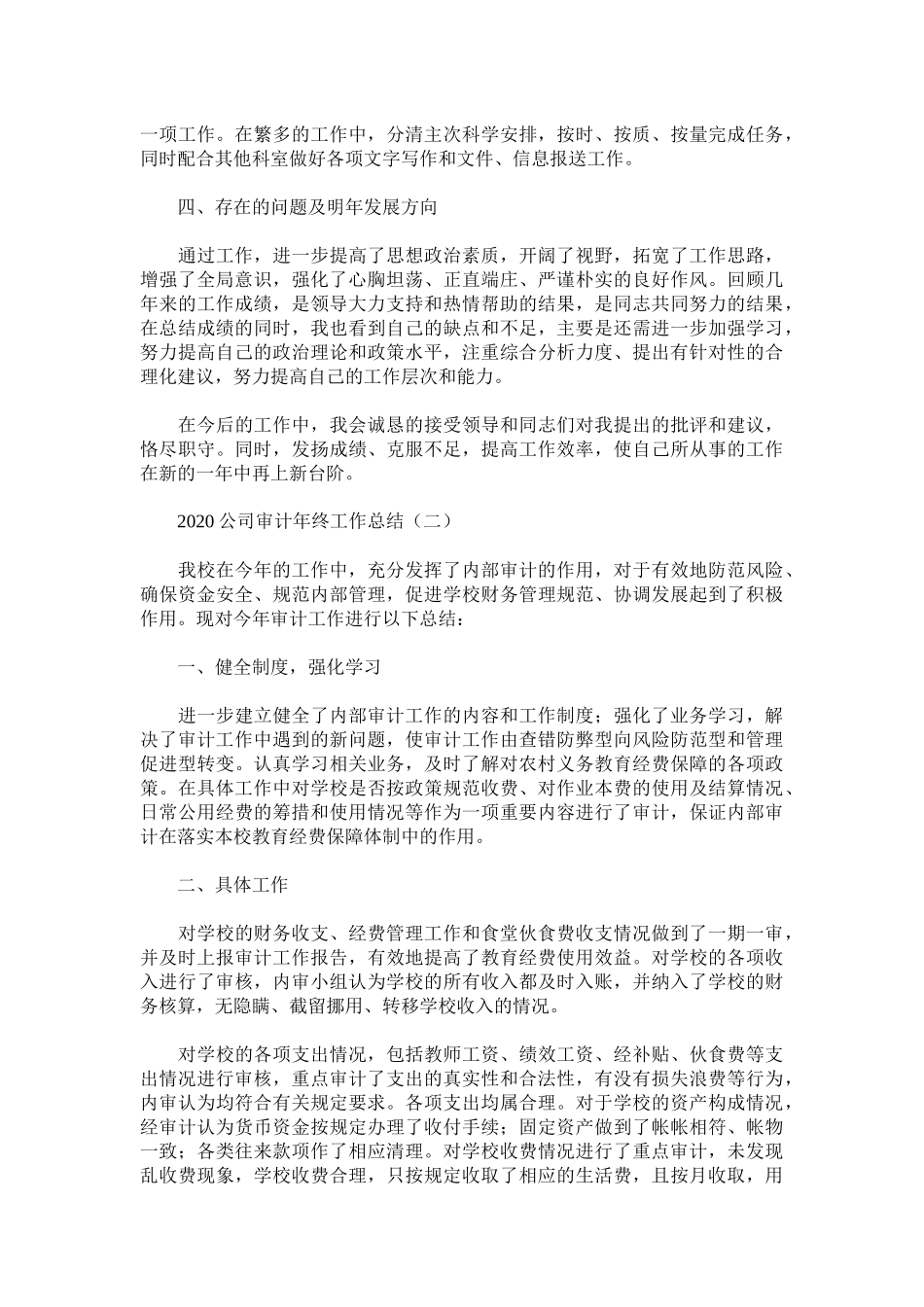 2020公司审计年终工作总结.docx_第2页