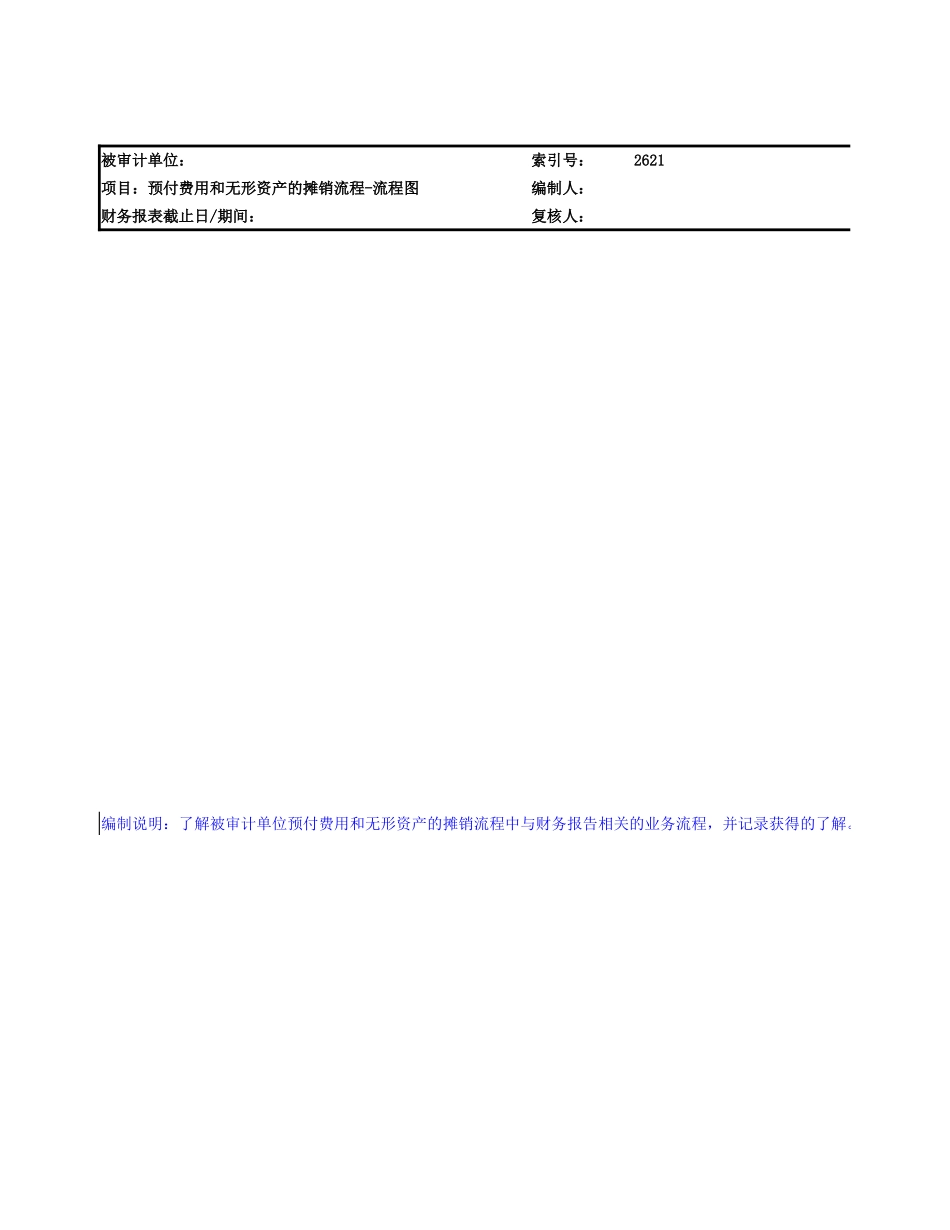 2620 预付费用和无形资产的摊销流程.xlsx_第2页