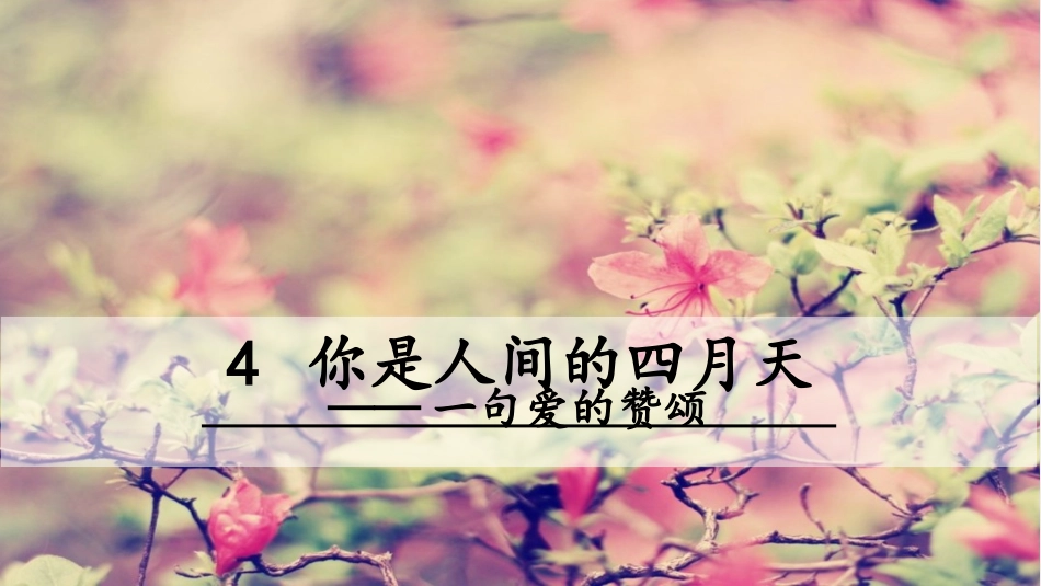 4 你是人间的四月天.ppt_第2页