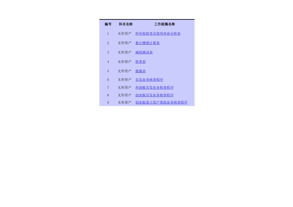4870无形资产参考表格.xls_第1页