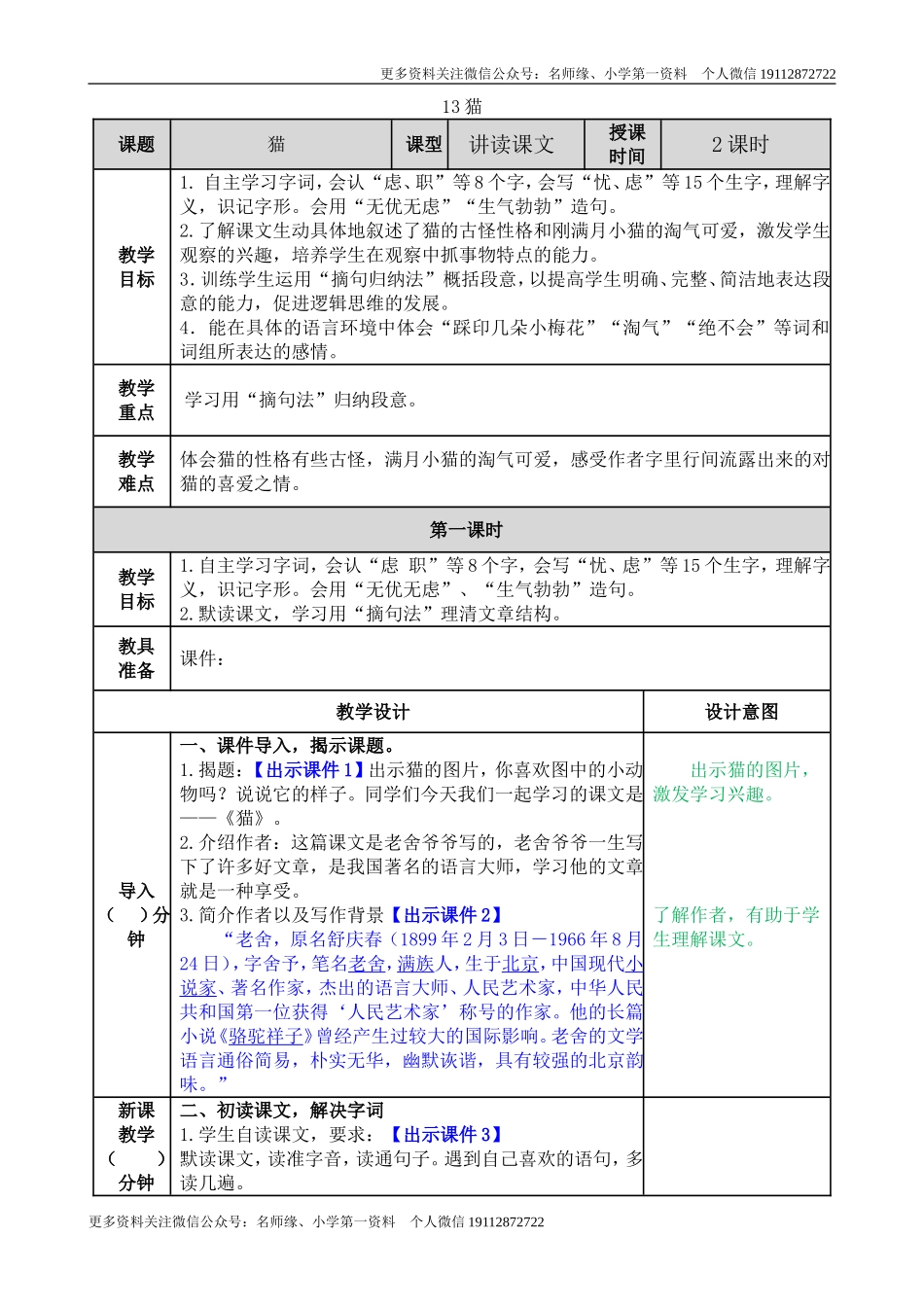 13 猫 教学教案.doc_第1页