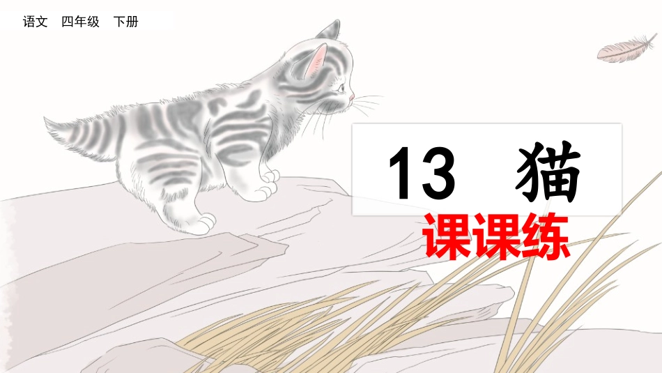 13 猫（课课练）.pptx_第1页
