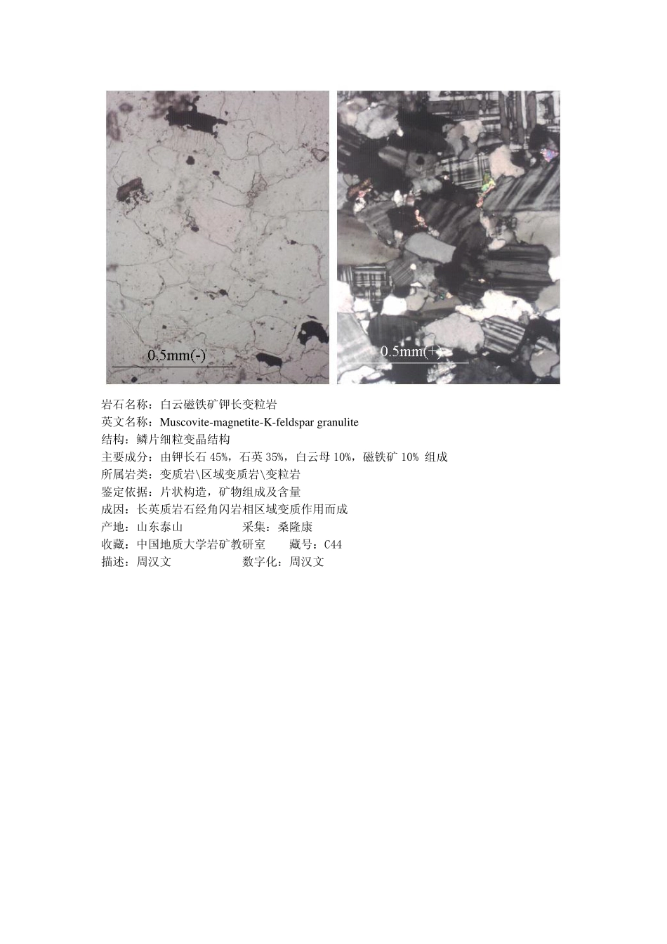 白云磁铁矿钾长变粒岩.pdf_第1页