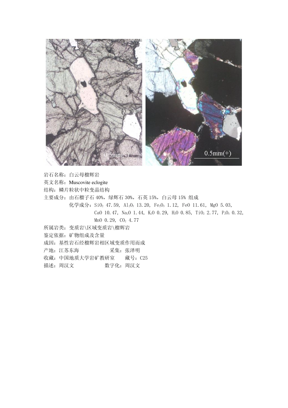 白云母榴辉岩.pdf_第2页