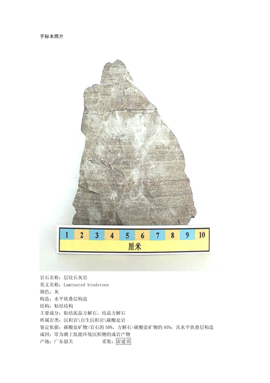层纹石灰岩.pdf_第1页