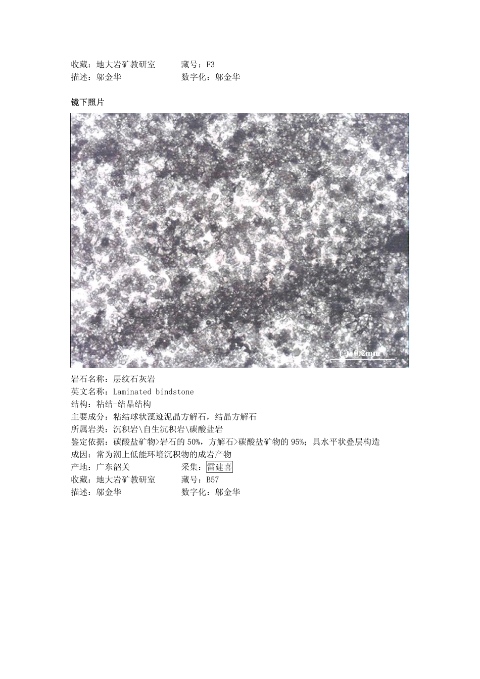 层纹石灰岩.pdf_第2页