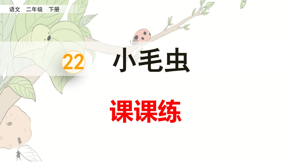 22小毛虫（课课练）.pptx_第1页