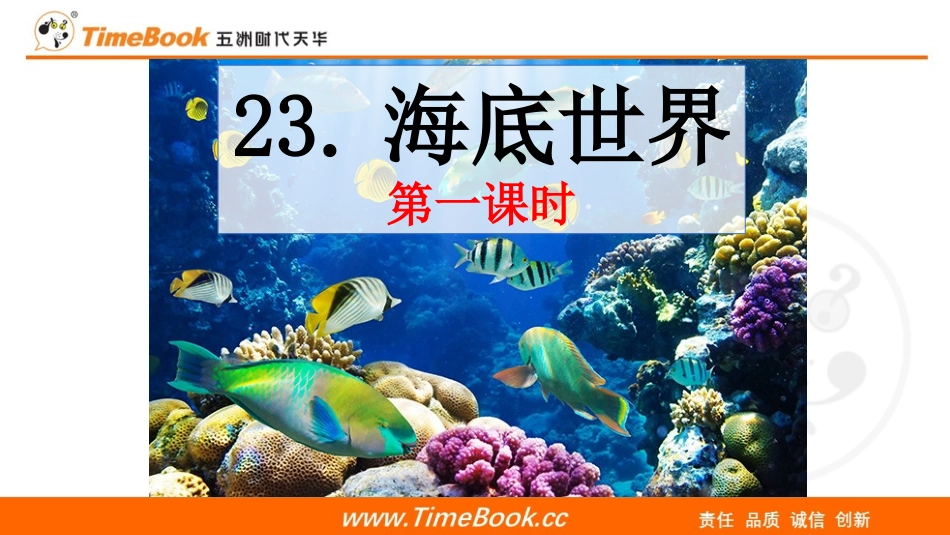 23 海底世界（教学课件）.pptx_第1页