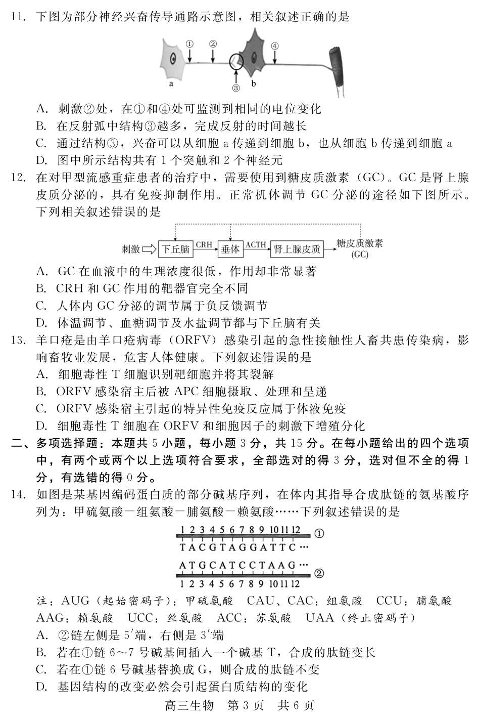 河北省新时代NT教育2024-2025学年第一学期12月高三阶段测试生物试卷+答案.pdf_第3页