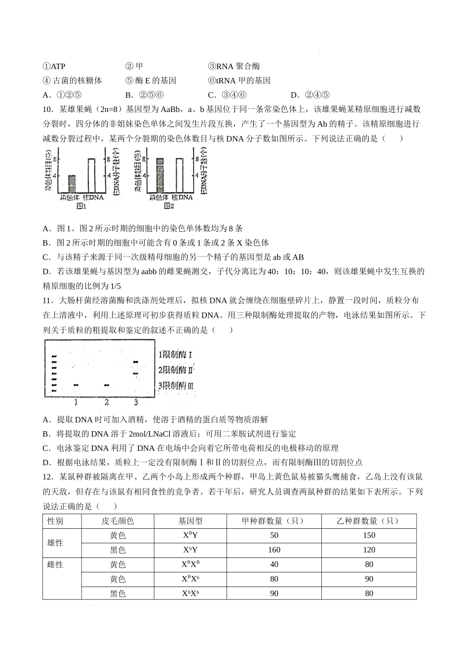 四川省南充市阆中东风学校2024-2025学年高三12月月考试题生物+答案.docx_第3页