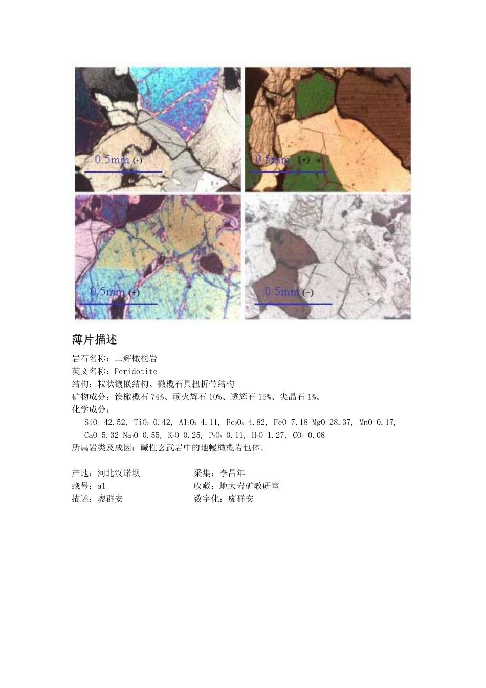 二辉橄榄岩.pdf_第2页