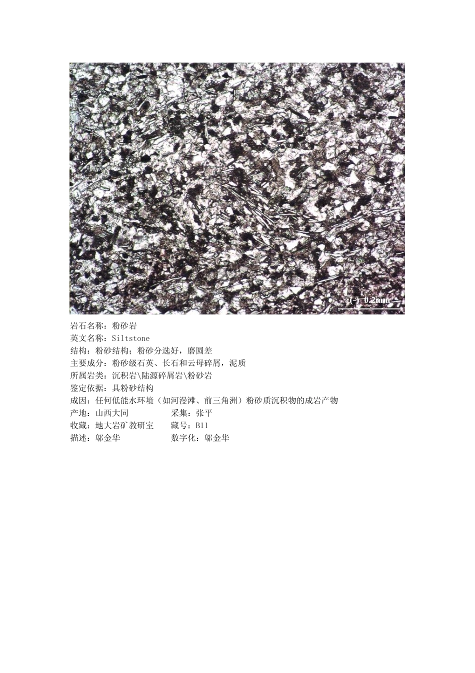 粉砂岩.pdf_第2页