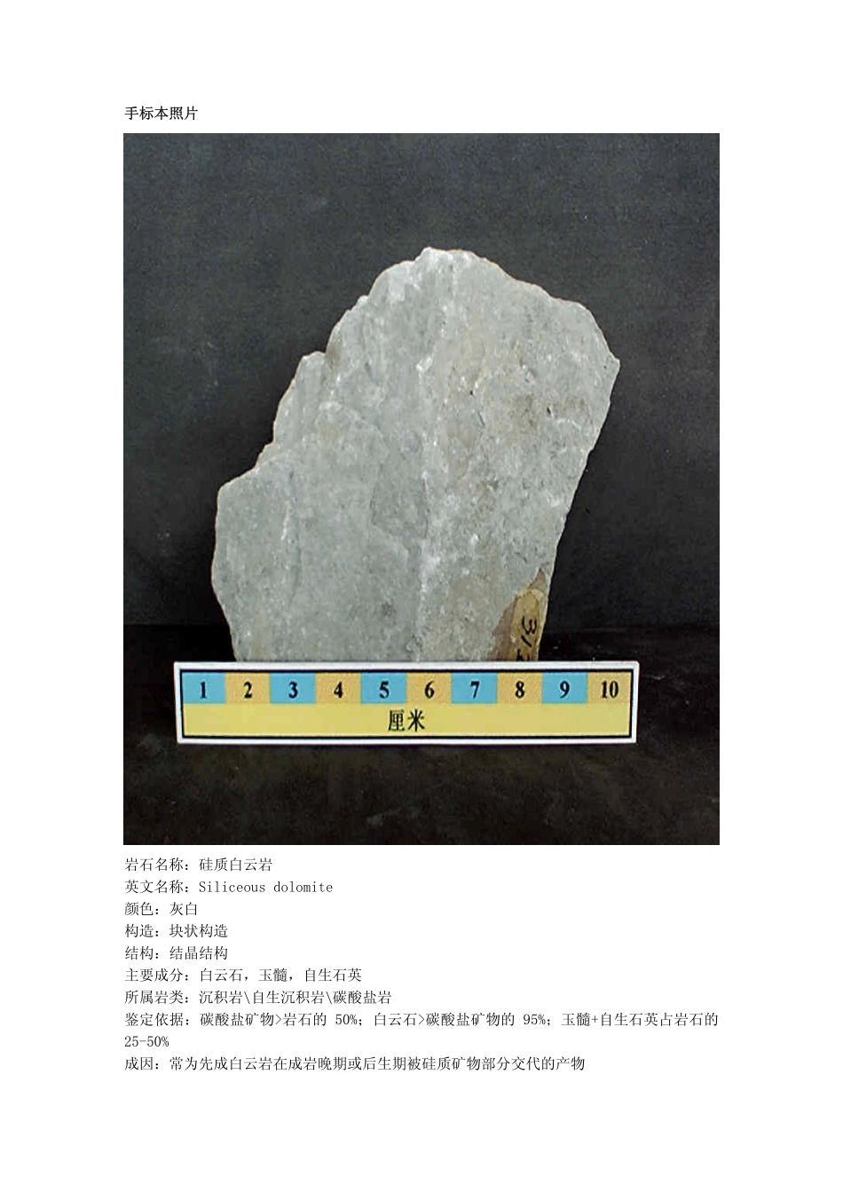 硅质白云岩.pdf_第1页