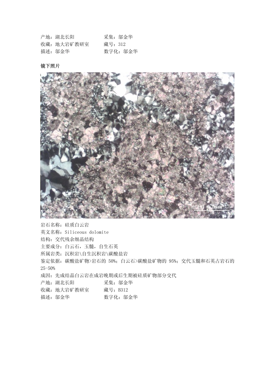 硅质白云岩.pdf_第2页