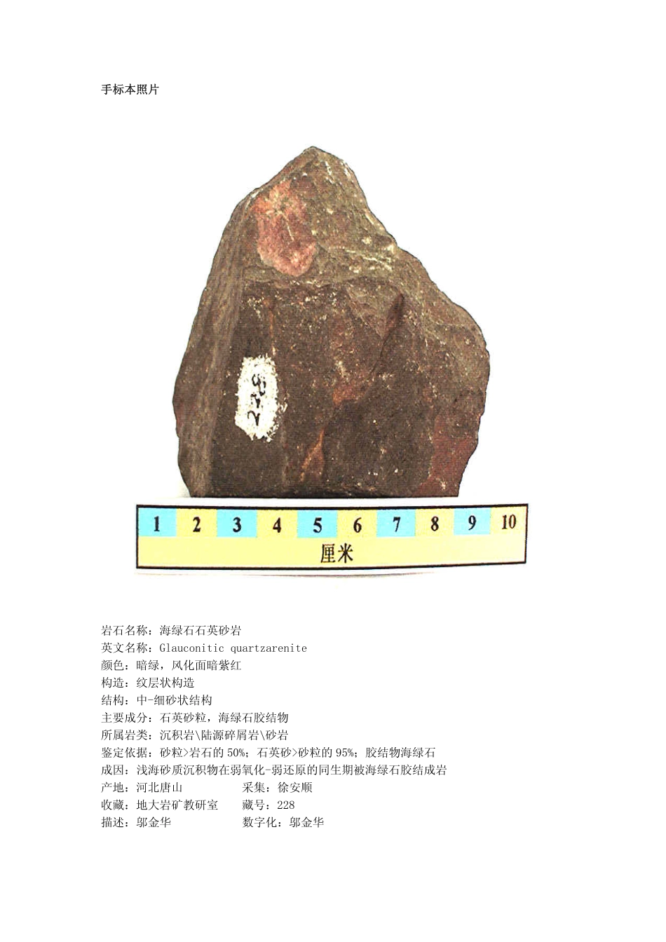 海绿石石英砂岩.pdf_第1页