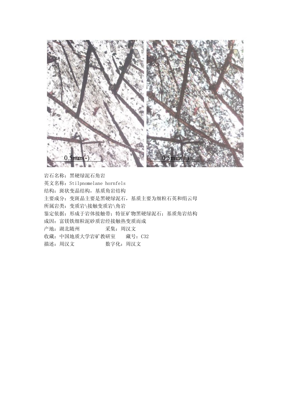 黑硬绿泥石角岩.pdf_第1页