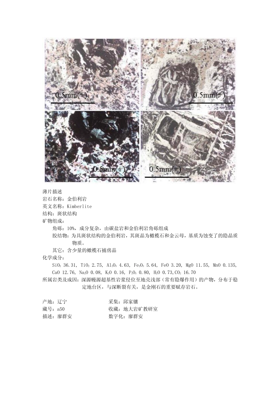 金伯利岩.pdf_第2页