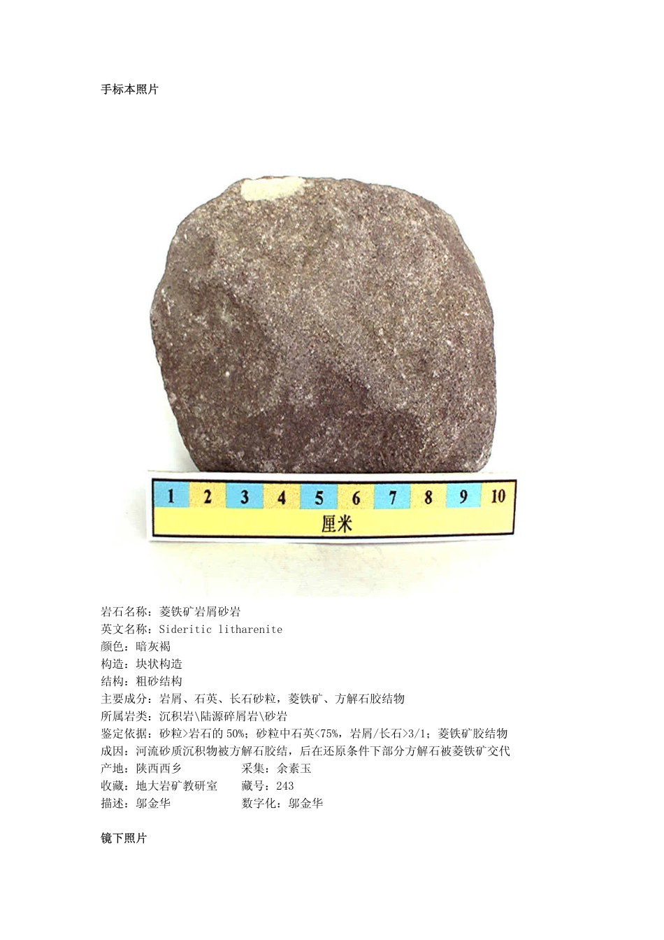 菱铁矿岩屑砂岩.pdf_第1页