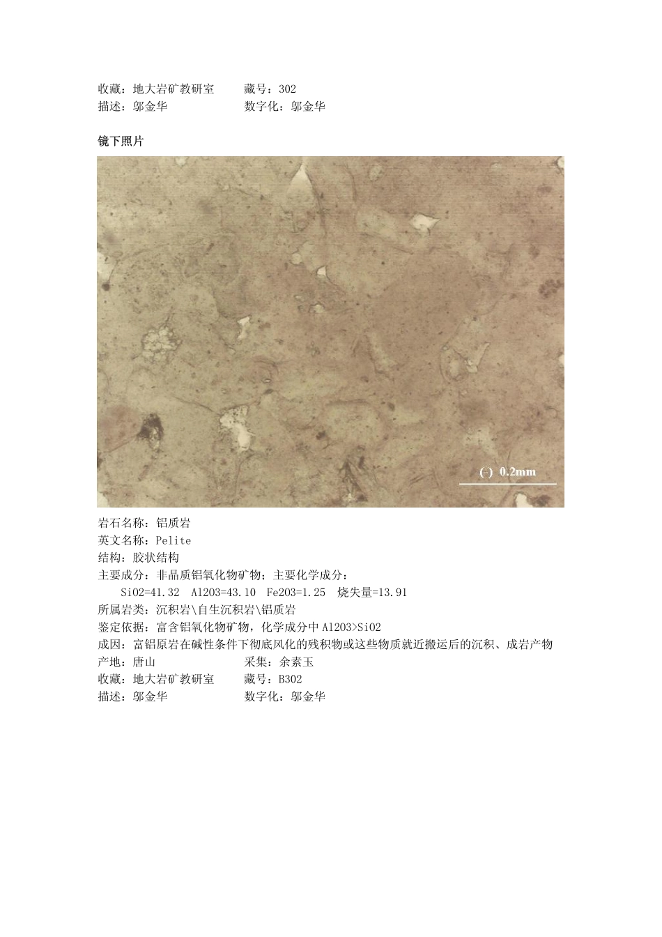 铝质岩.pdf_第2页