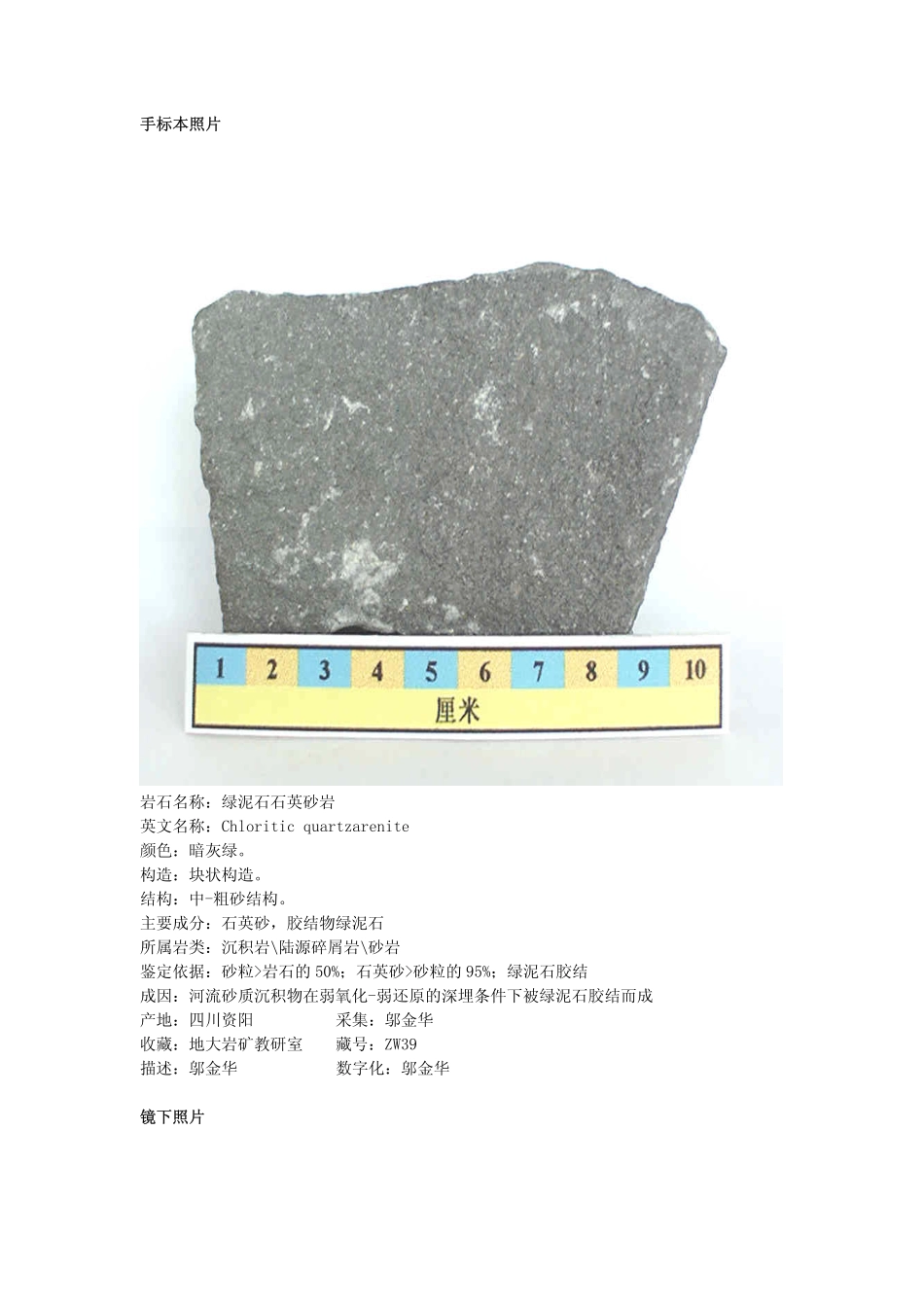 绿泥石石英砂岩.pdf_第1页