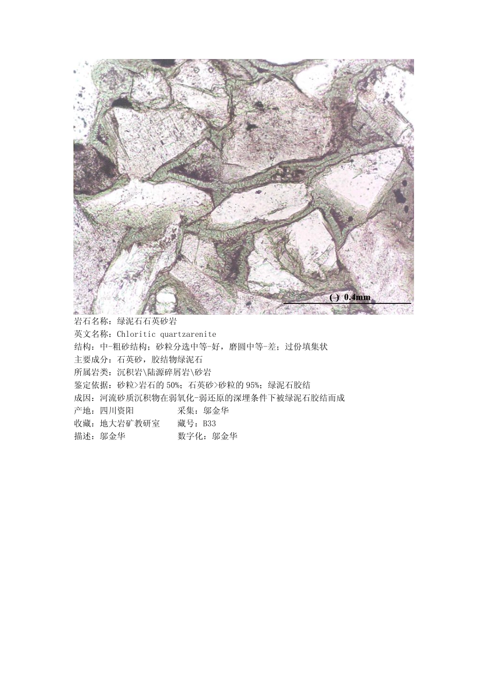 绿泥石石英砂岩.pdf_第2页