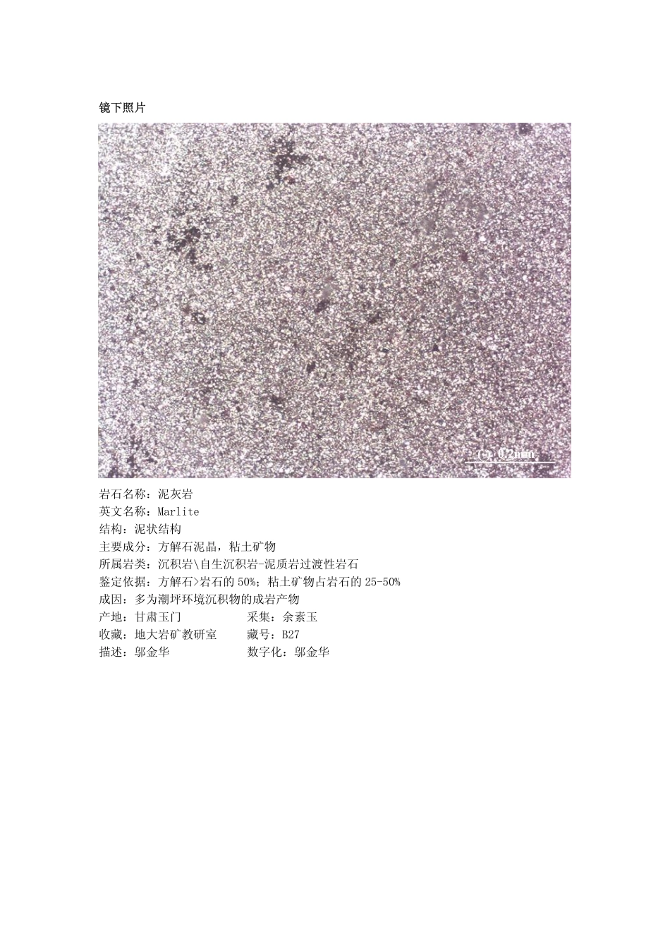 泥灰岩.pdf_第2页