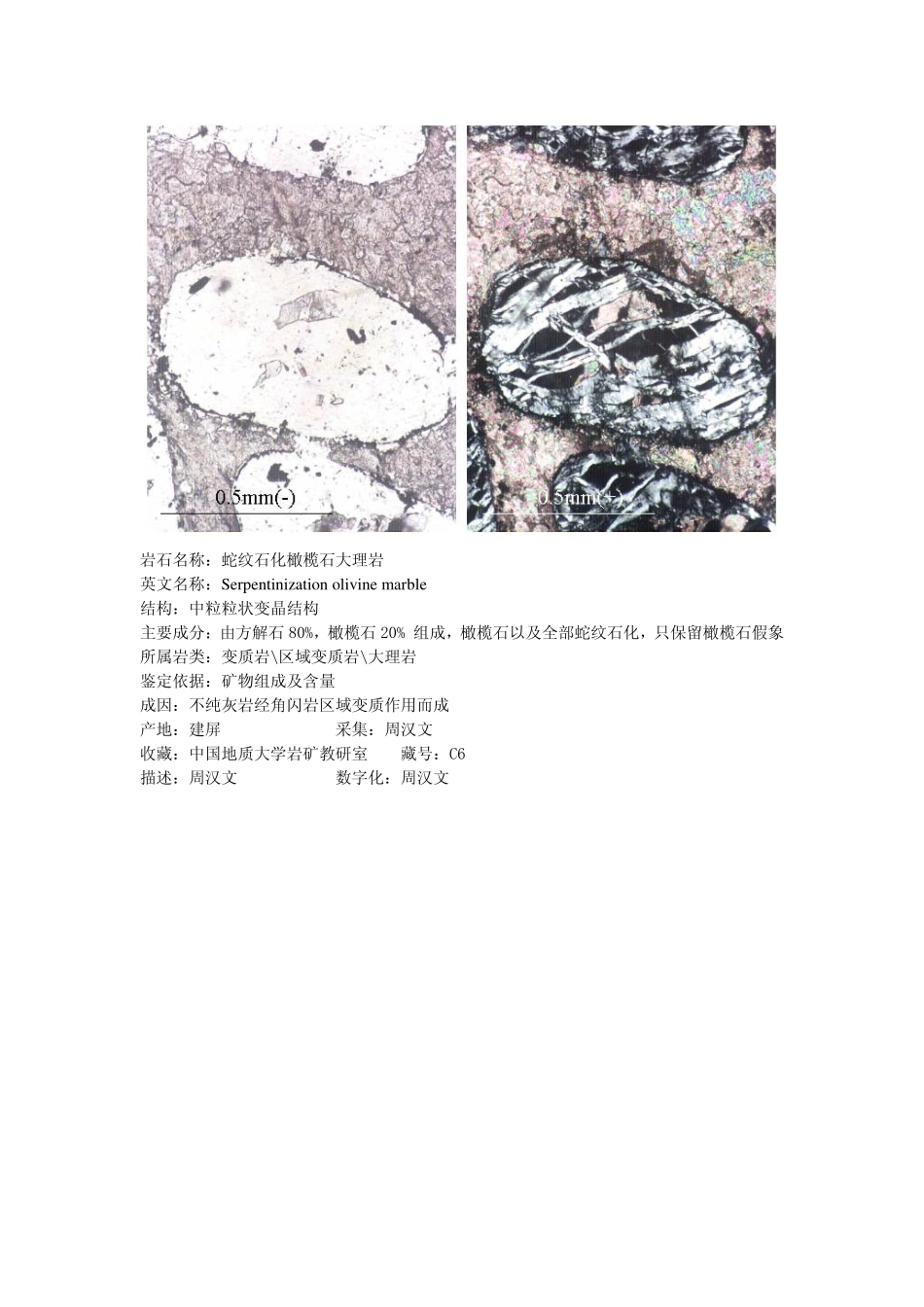 蛇纹石化橄榄石大理岩1.pdf_第2页