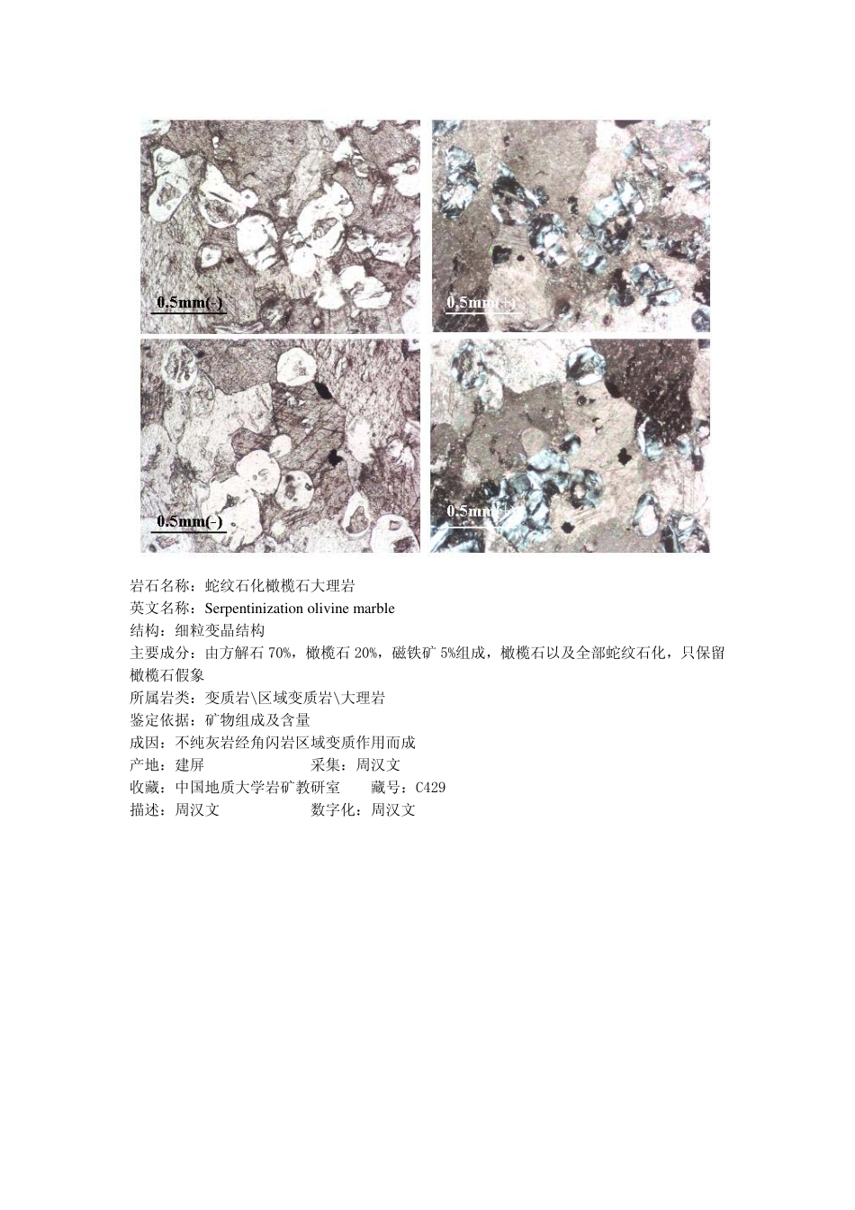 蛇纹石化橄榄石大理岩2.pdf_第2页