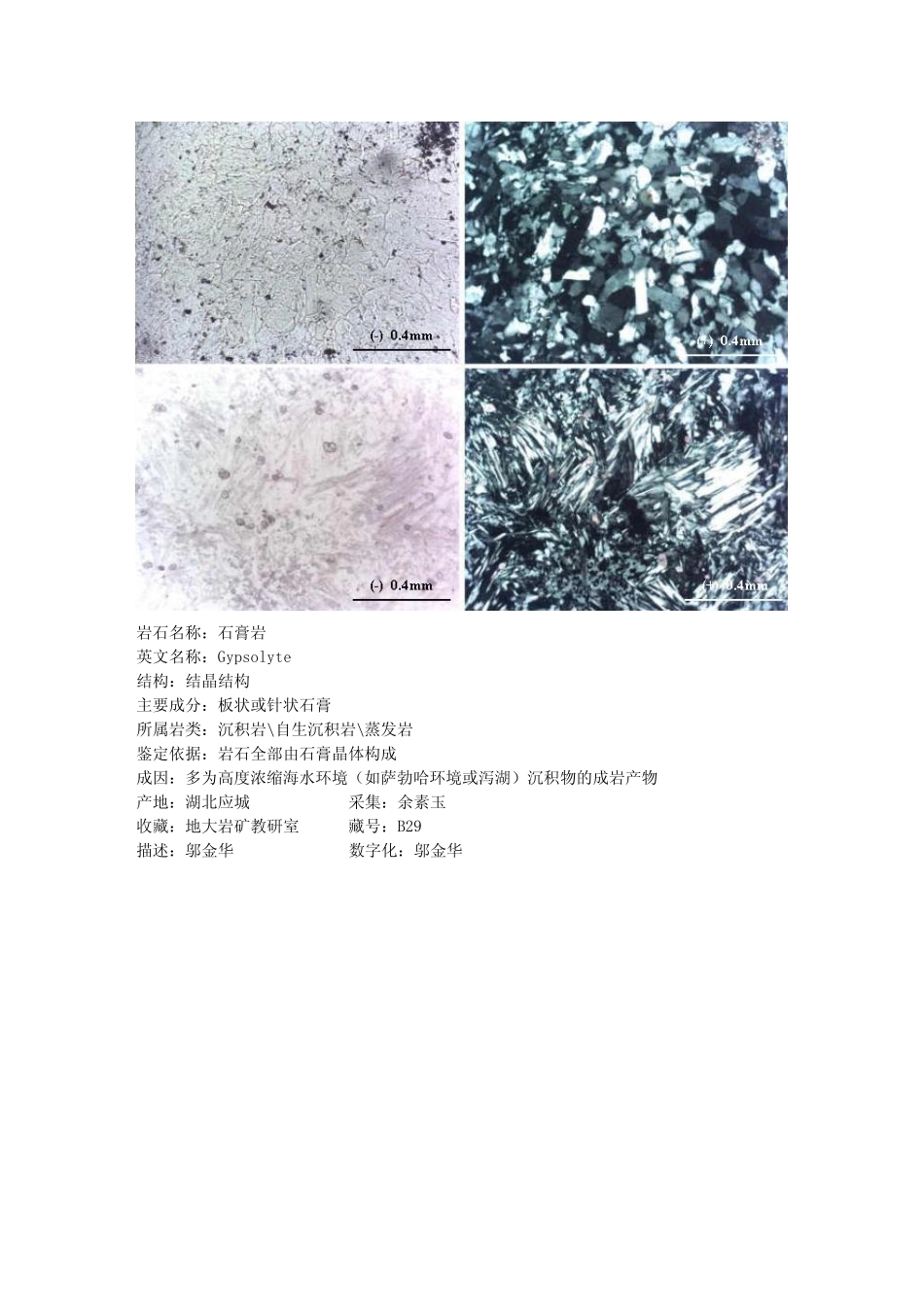 石膏岩.pdf_第2页