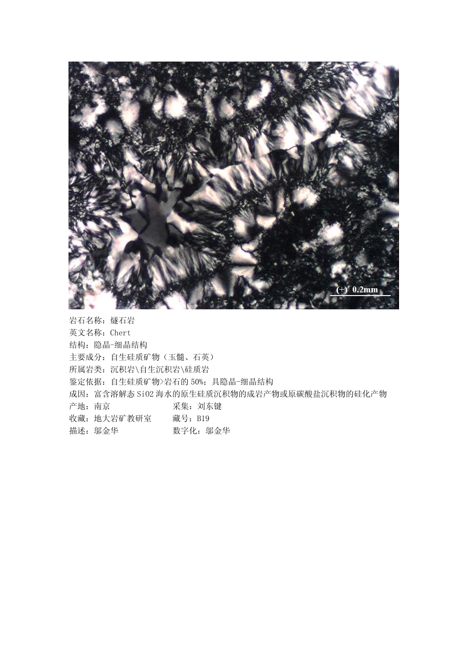 燧石岩.pdf_第2页