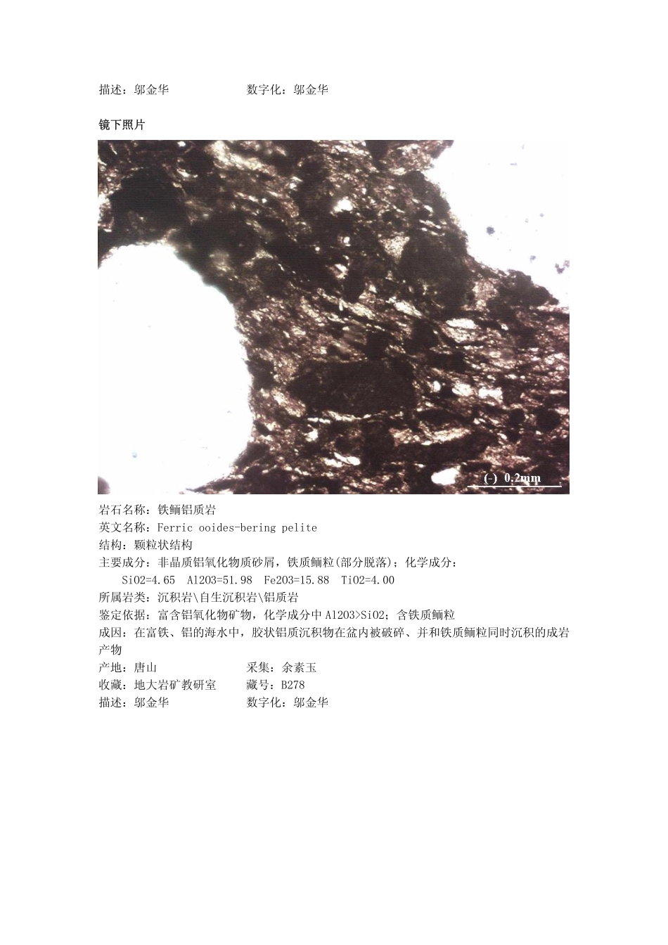 铁鲕铝质岩.pdf_第2页