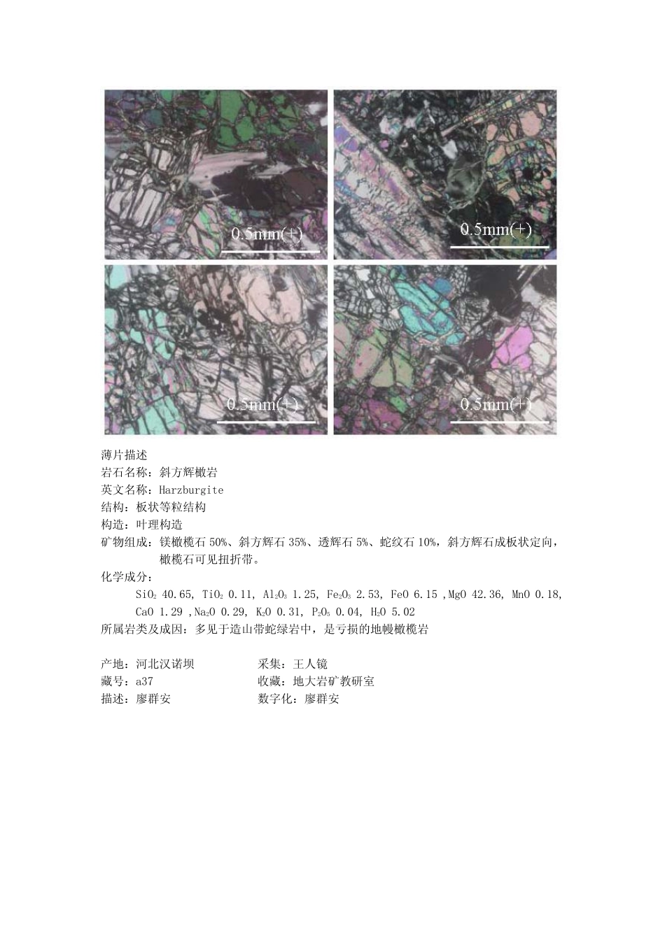 斜方辉橄榄岩.pdf_第2页