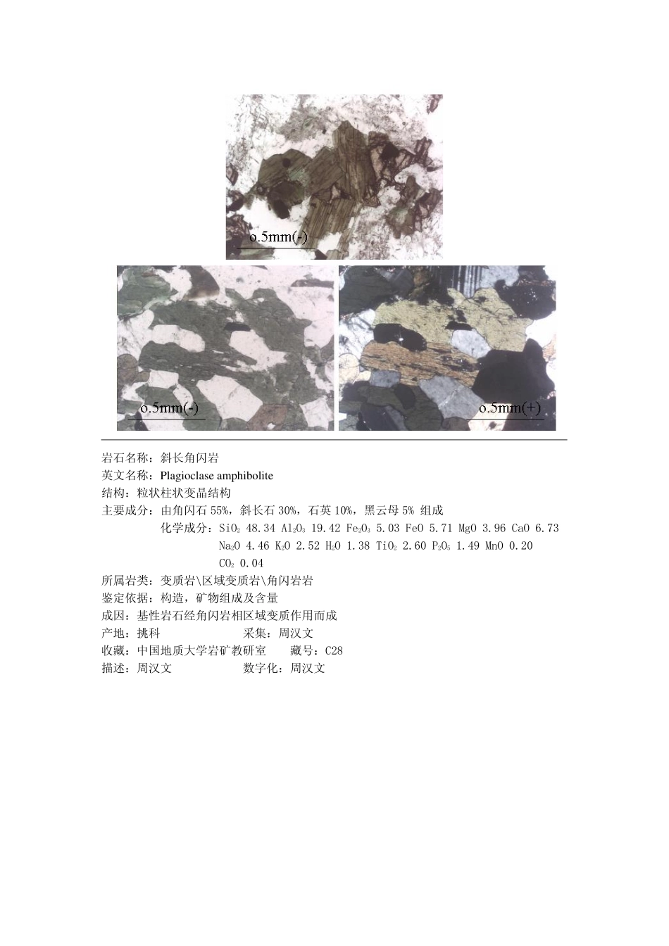 斜长角闪岩1.pdf_第2页
