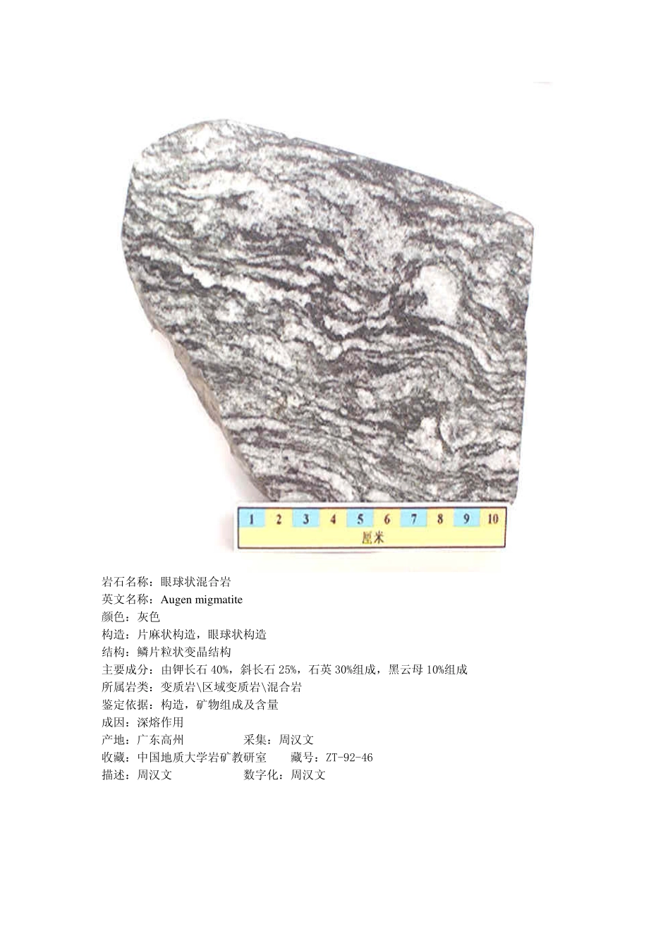 眼球状混合岩2.pdf_第1页