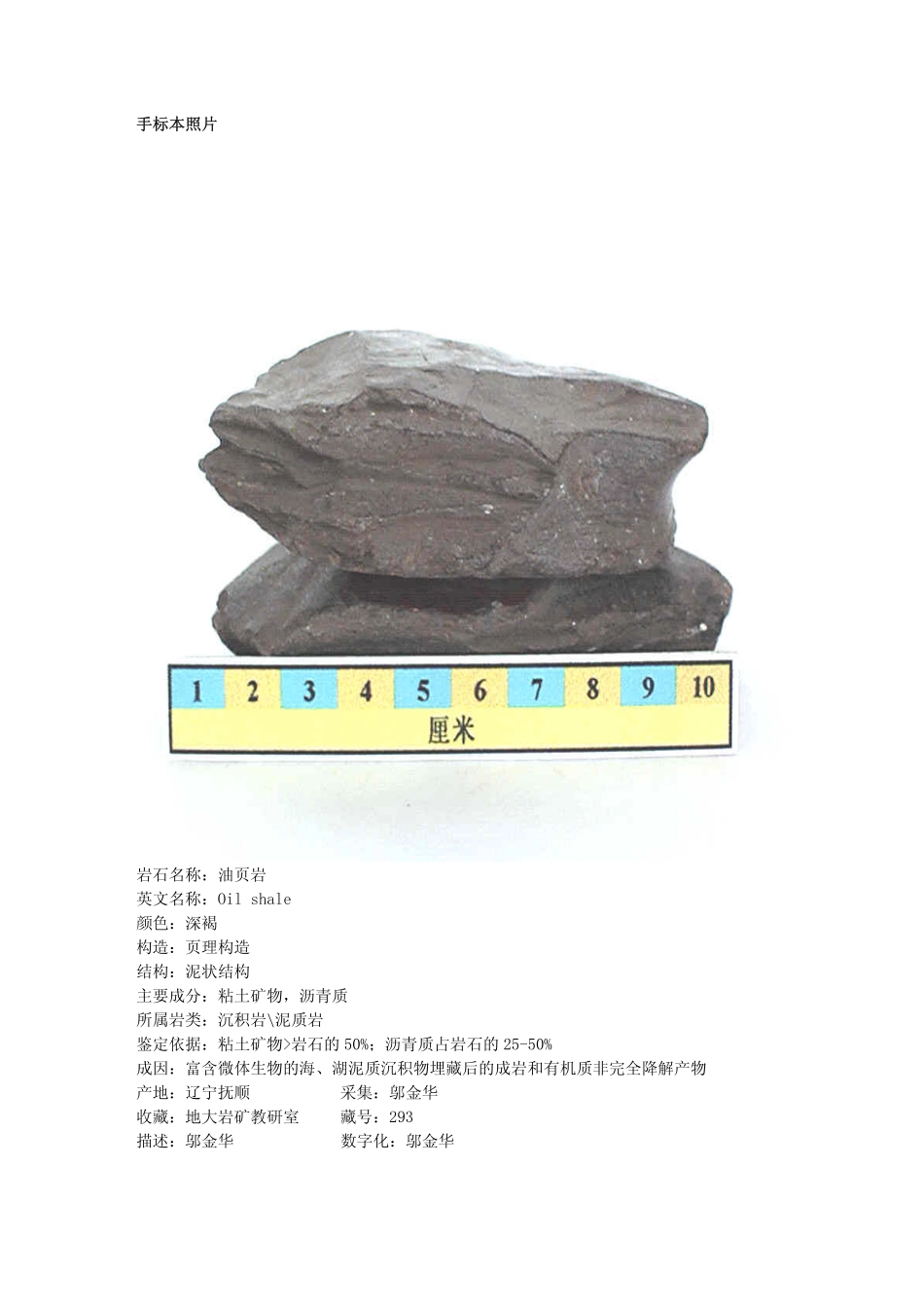 油页岩.pdf_第1页