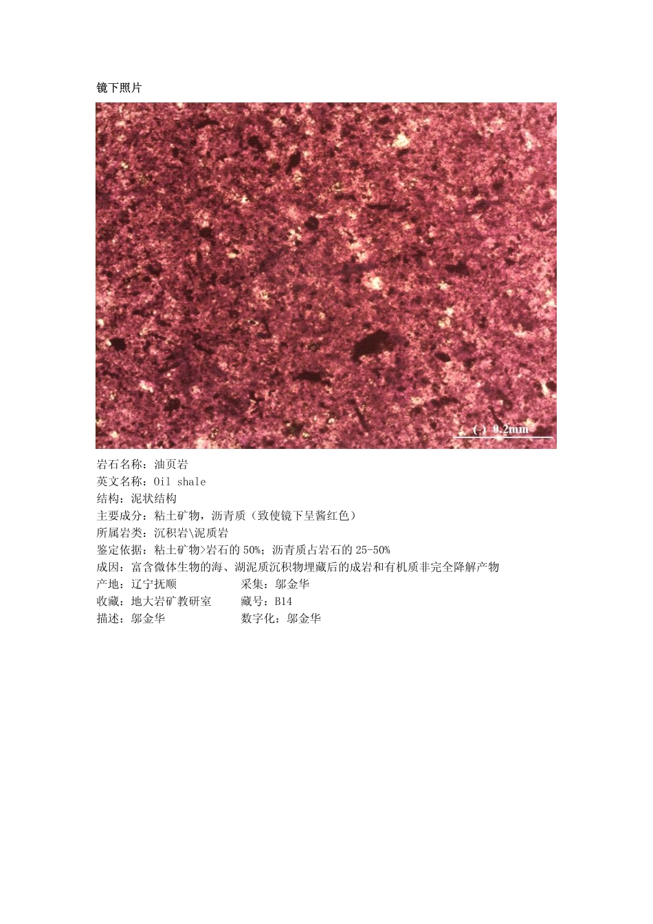 油页岩.pdf_第2页