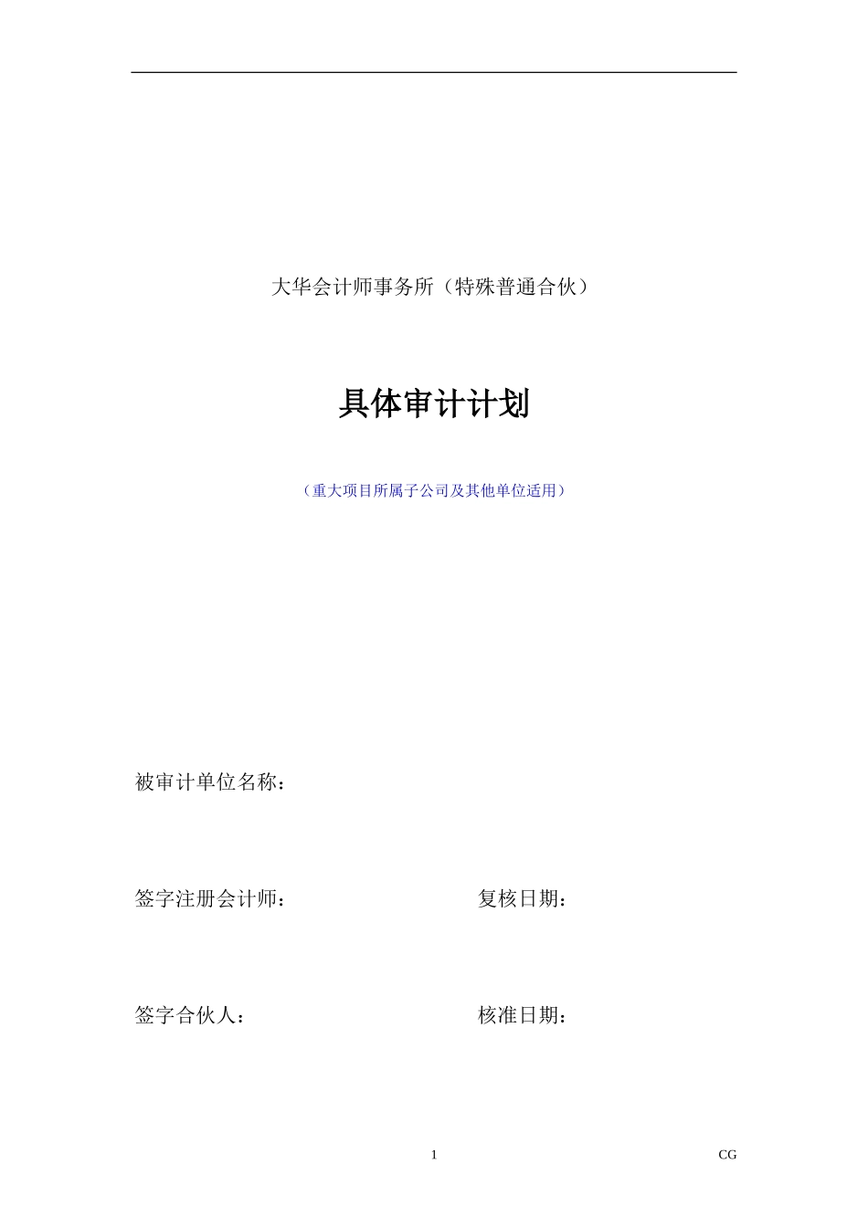CG 具体审计计划(重大项目所属子公司及其他单位适用版本).doc_第1页
